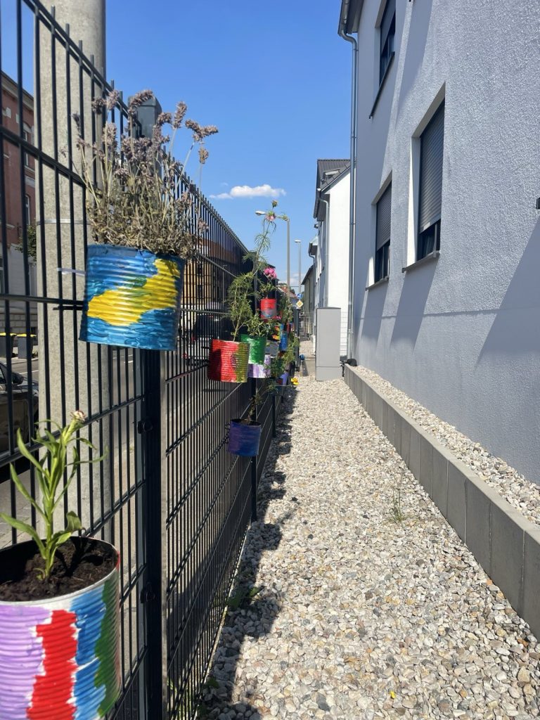 Pflanzengarten